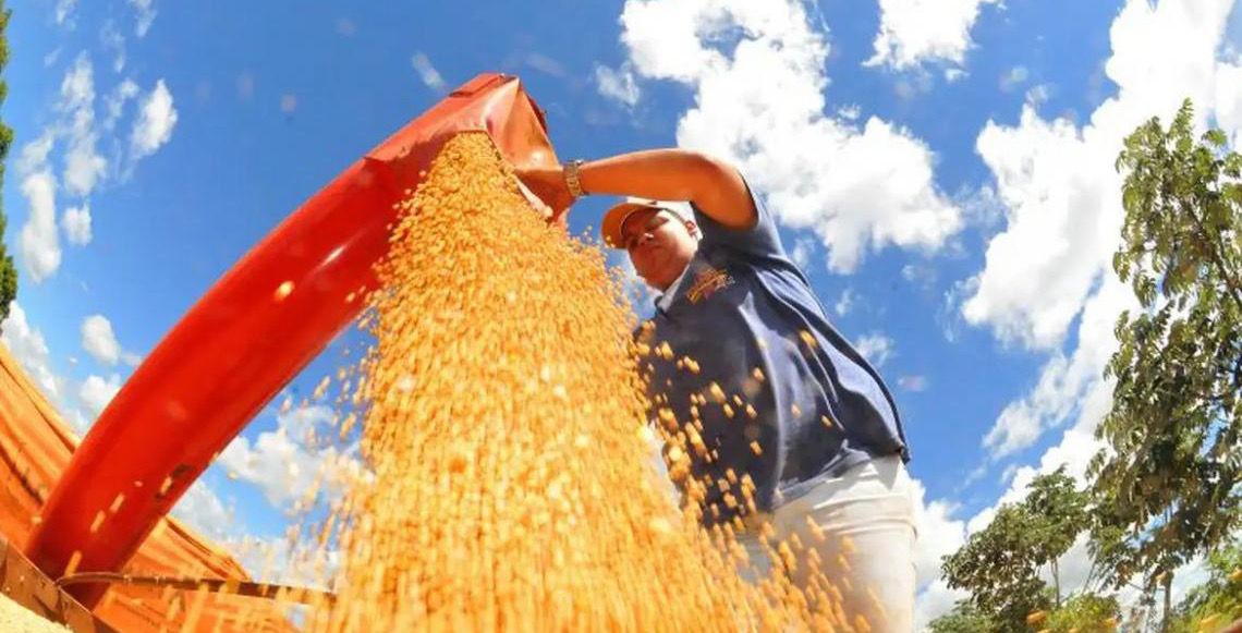 Agropecuária ajudou oito estados a crescerem mais que o Brasil em 2023