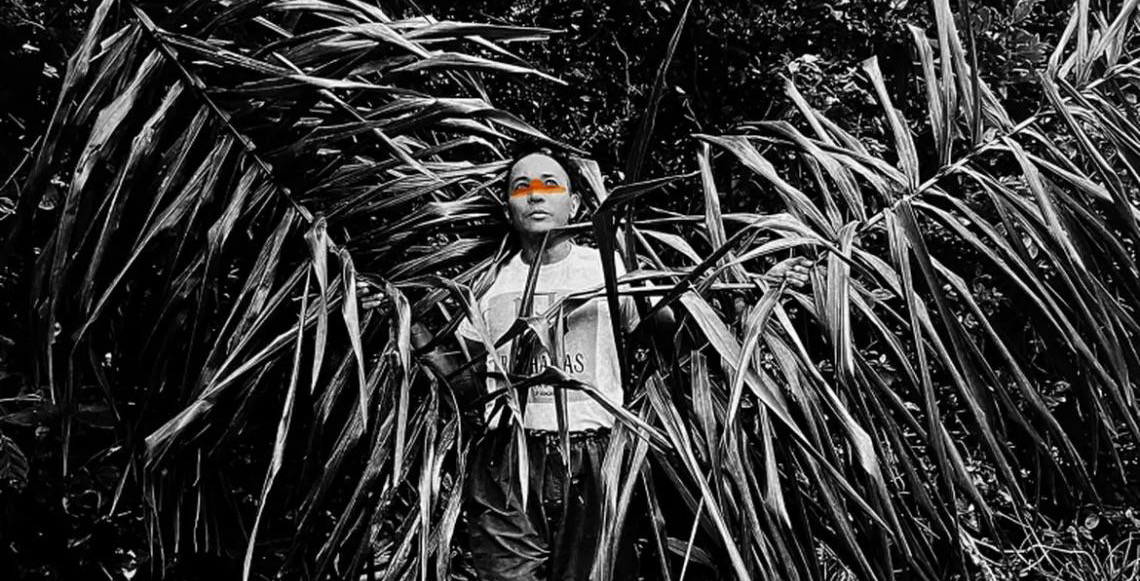 Exposição em SP propõe diálogos sobre gênero, sexualidade e natureza