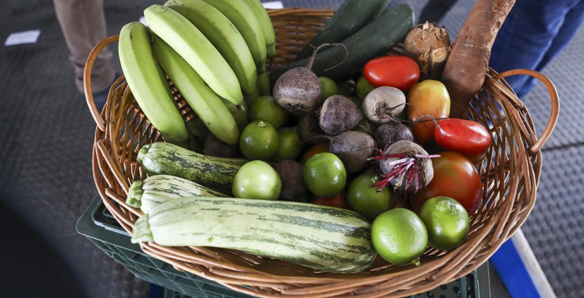 Governo do DF lança banco de alimentos e amplia combate à fome na capital