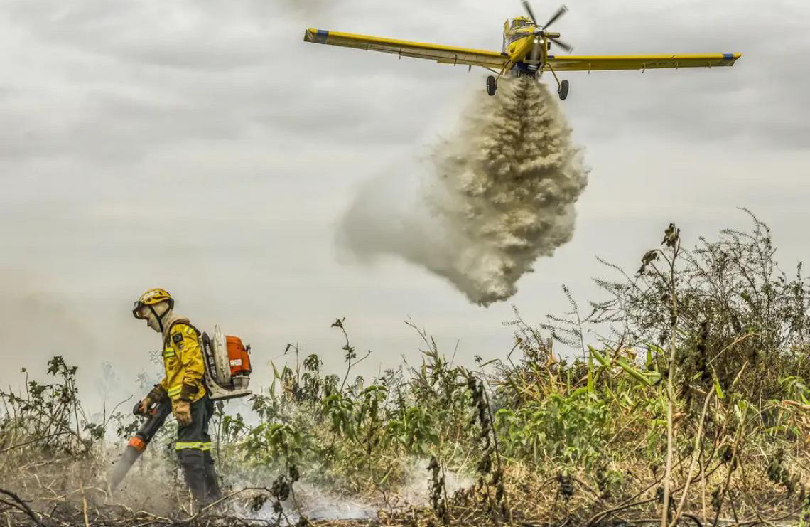 Incêndios florestais em unidades de conservação chegam ao menor patamar desde 2018