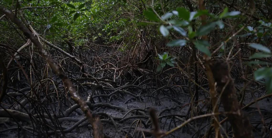 Ciência & Tecnologia