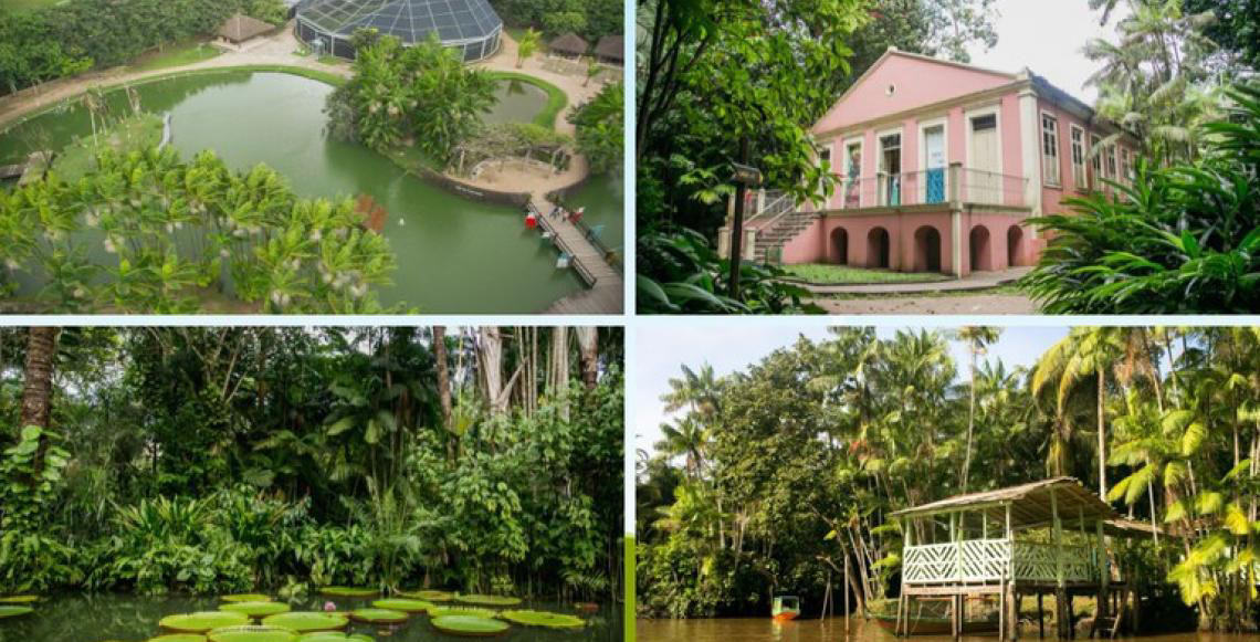 Belém do Pará e os roteiros de natureza e sustentabilidade da Amazônia