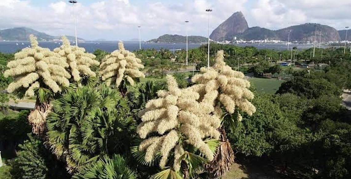 Ciência & Tecnologia