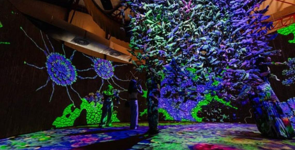 Museu construído com recurso federal recebeu 70 mil visitantes em um mês