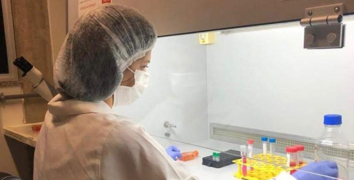 Em pesquisa apoiada pela FAPDF, vacina avança como alternativa contra câncer de mama agressivo