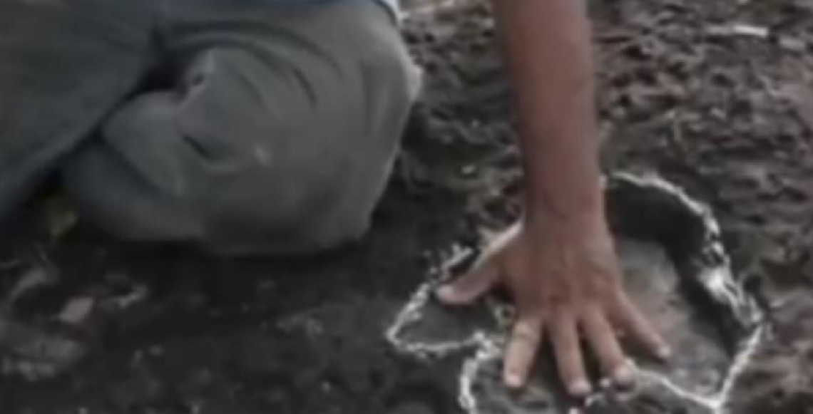 Pesquisadores da Universidade Federal de Roraima dizem ter identificado pegadas de dinossauros em Roraima