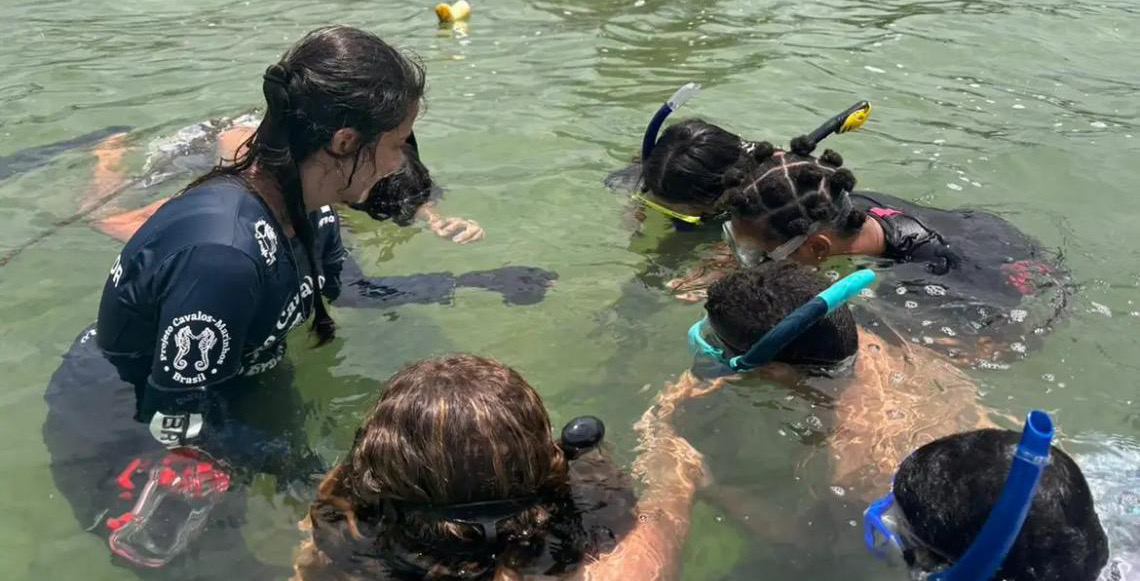 Projeto no Rio de Janeiro forma a primeira turma de guardiões de cavalos-marinhos de 12 a 14 anos