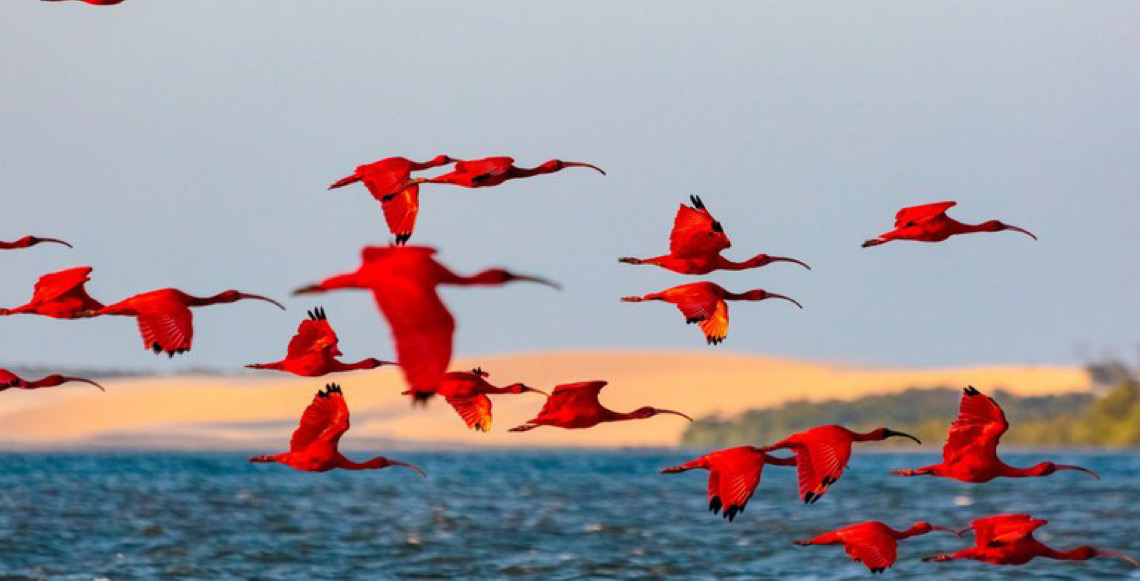 Realidade Brasileira