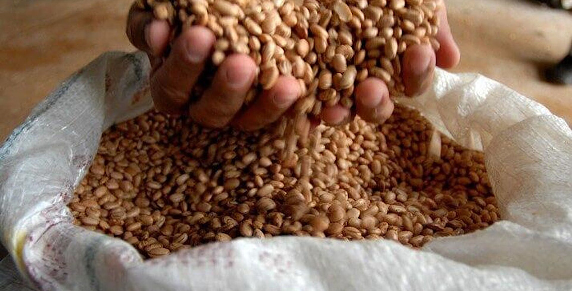 Brasil abre mercados agrícolas com novos acordos com Índia e Rússia