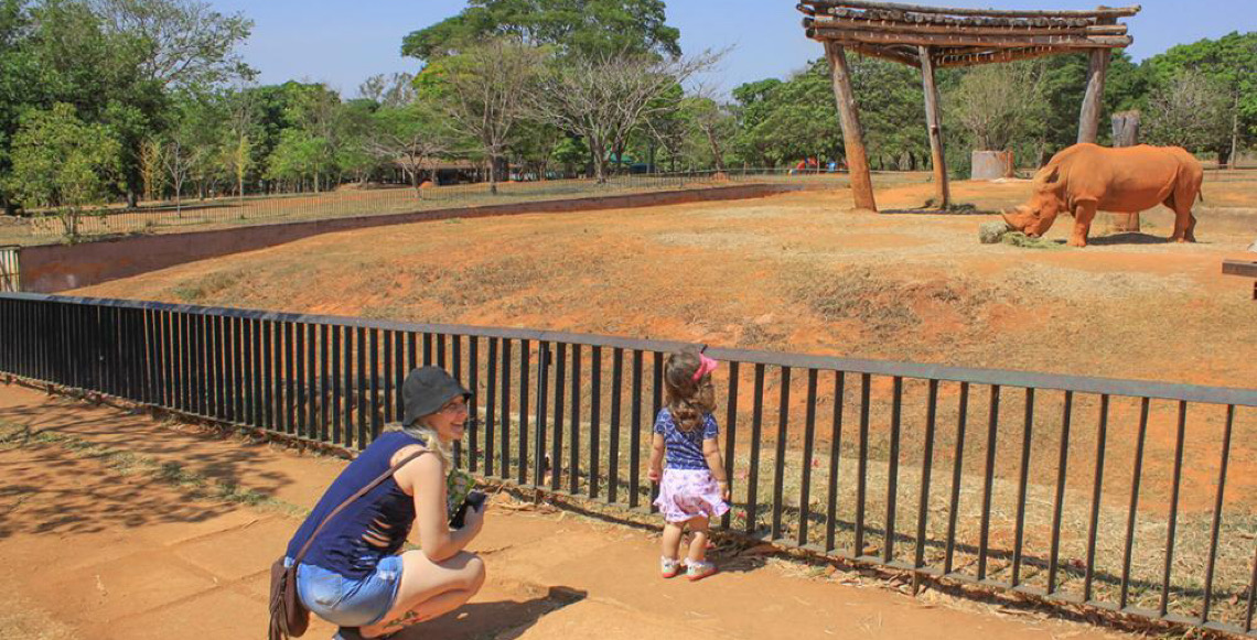 Fim de semana no DF tem arte, música, aniversário do Zoológico e transporte de graça