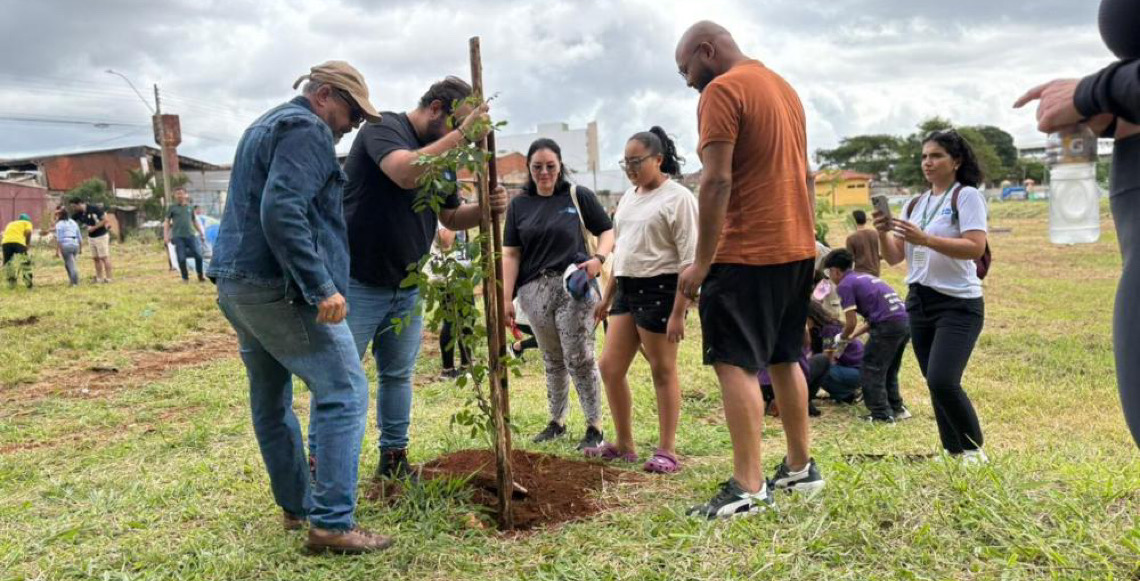 Distrito Federal planta 15 mil mudas nativas do Cerrado em ação integrada neste domingo