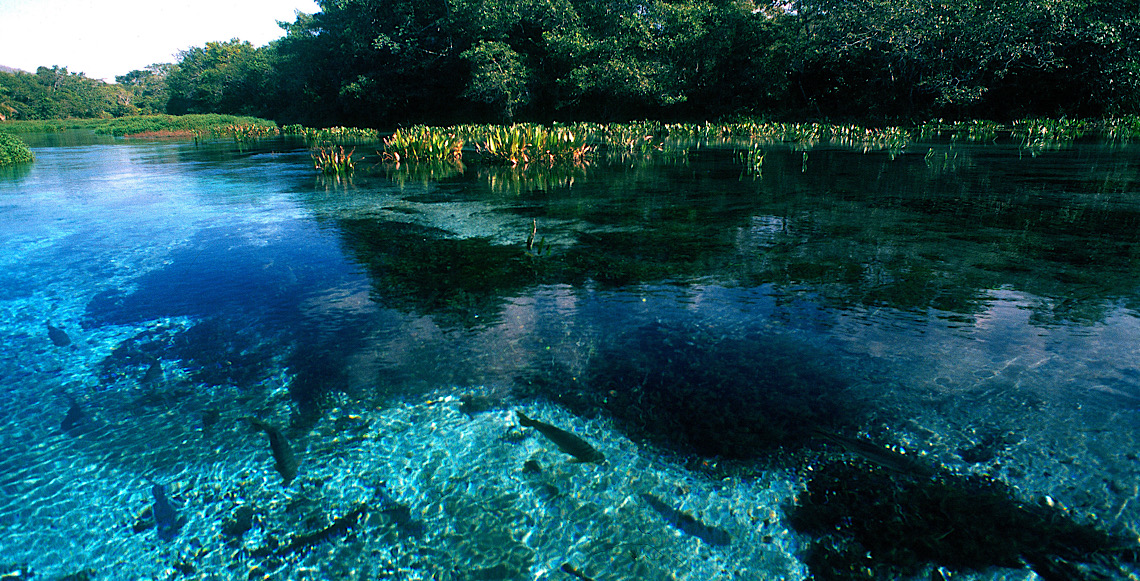 Do cerrado ao pantanal: Centro-Oeste revela riquezas culturais e ecológicas no Catálogo de Experiências Turísticas do MTur