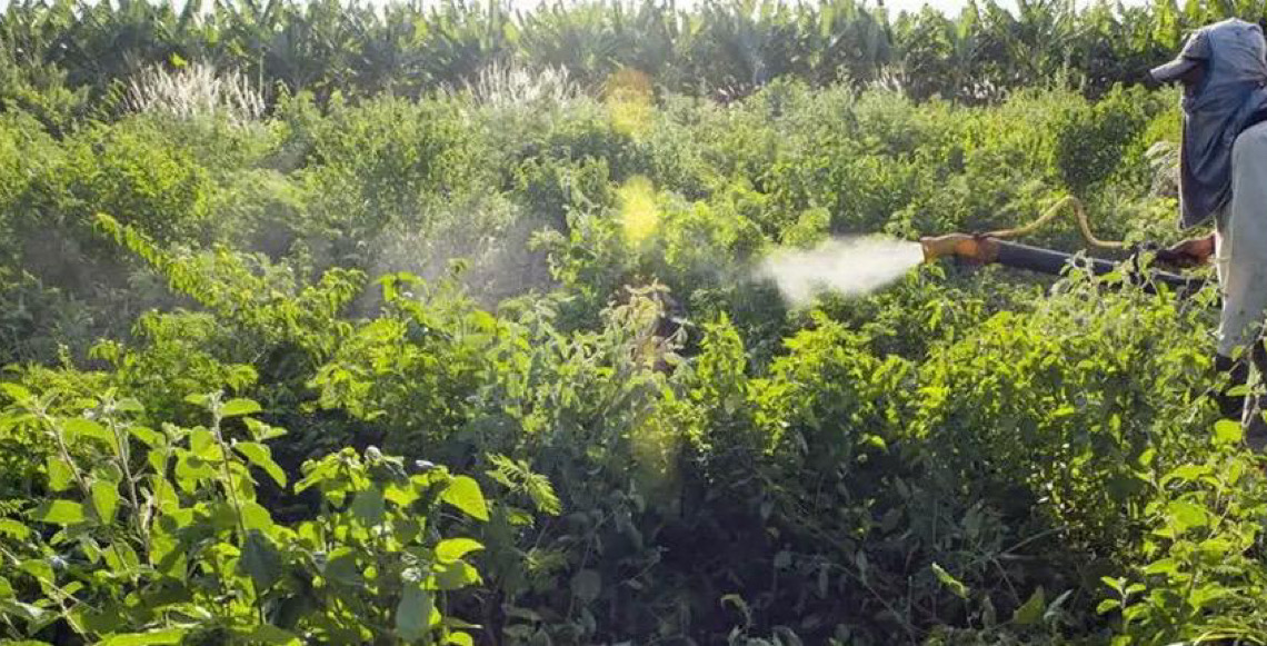 Campanha denuncia agronegócio por contaminações, entre 2013 e 2022