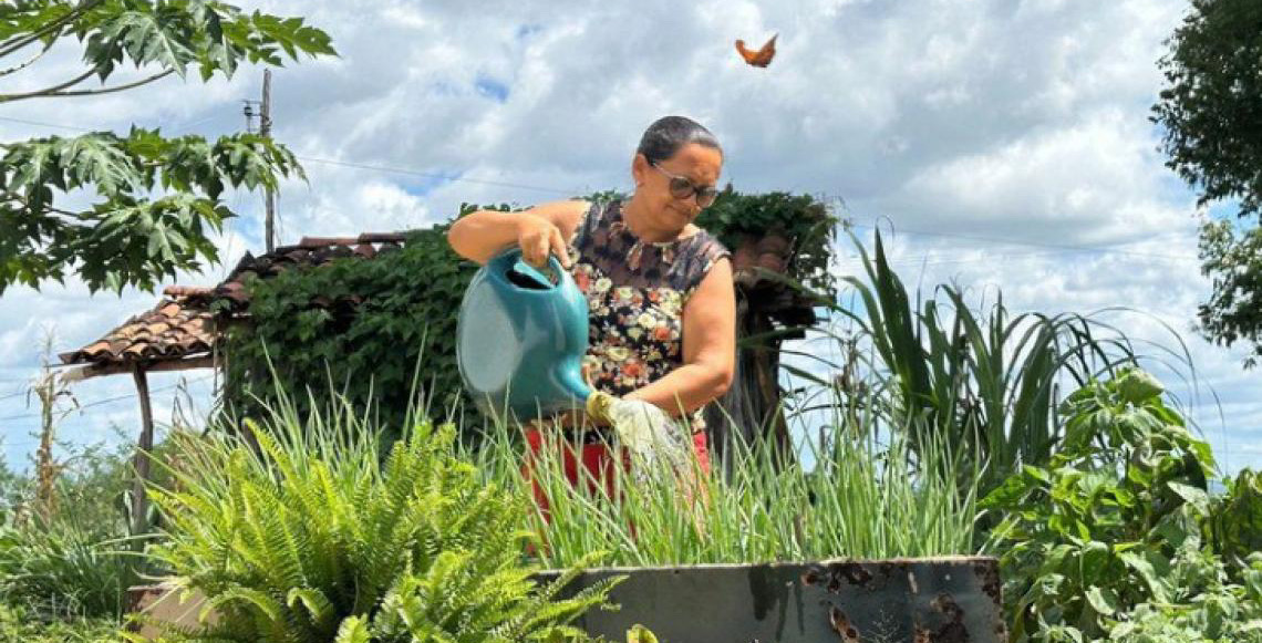 Pesquisa sobre o Programa Fomento Rural aponta aumento em 30% na renda familiar de beneficiados