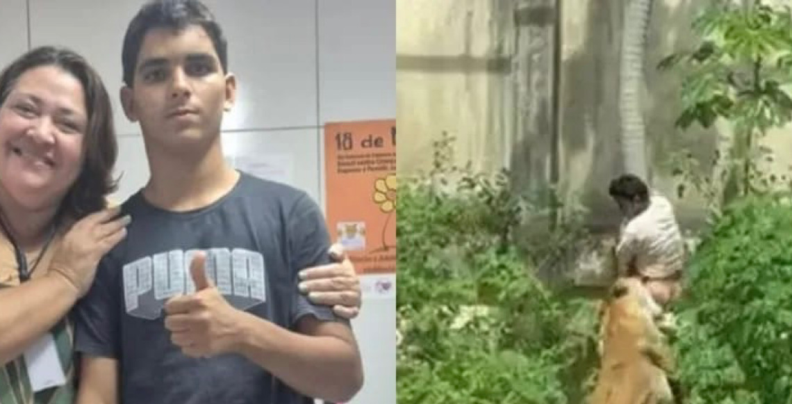 A morte de Vaqueirinho e os problemas psicológicos da leoa que o devorou