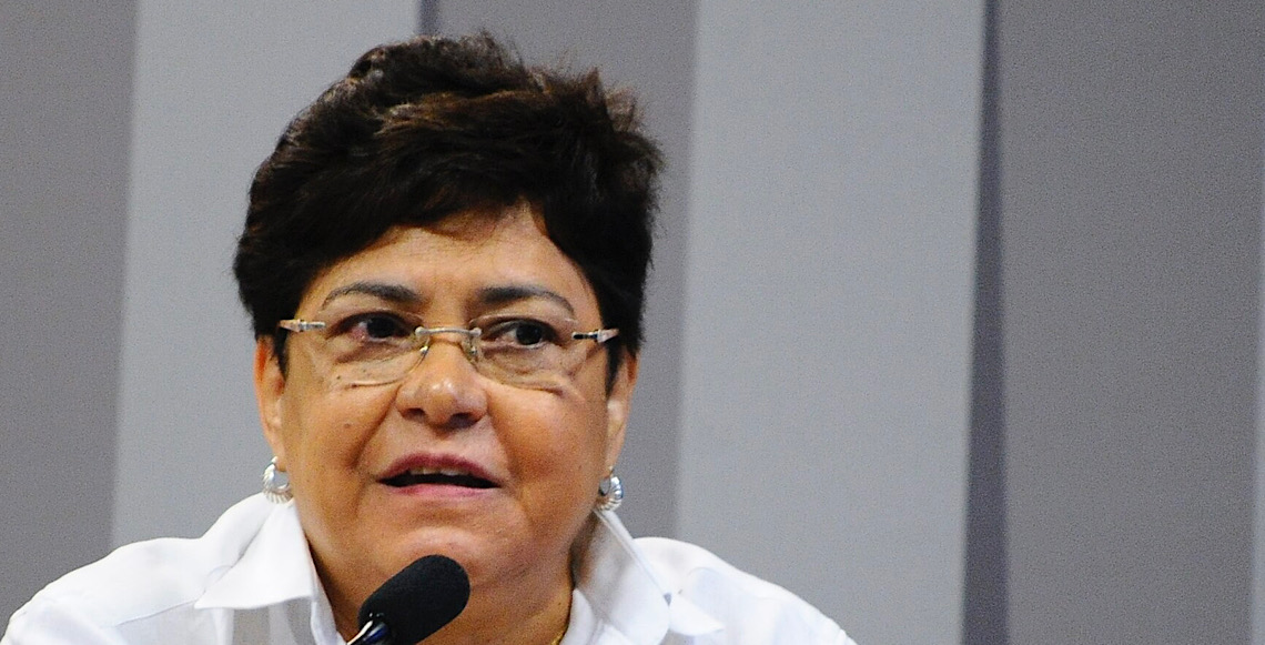 Por Maria José Rocha Lima - Zezé: Meu perfil, segundo o ChatGPT 