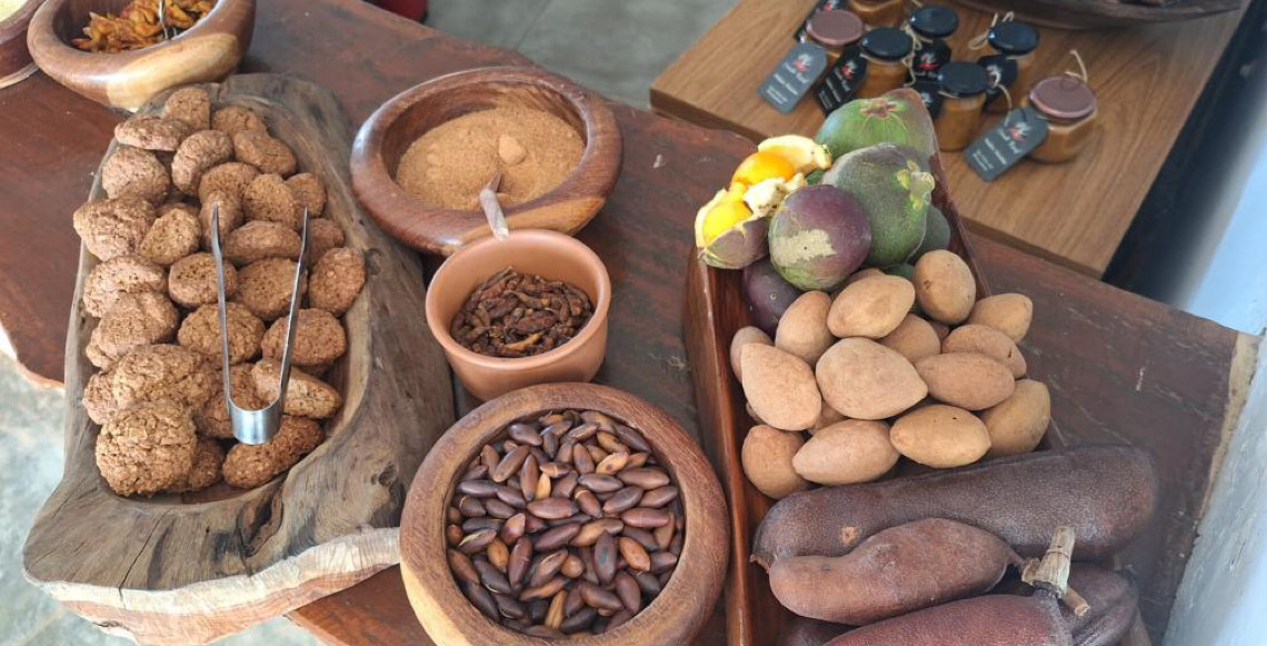 Estudo inédito do IPEDF inclui frutos do Cerrado na alimentação escolar no Distrito Federal