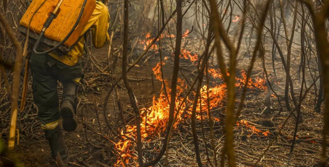 Governo brasileiro lança painel inédito para rastrear gastos ambientais