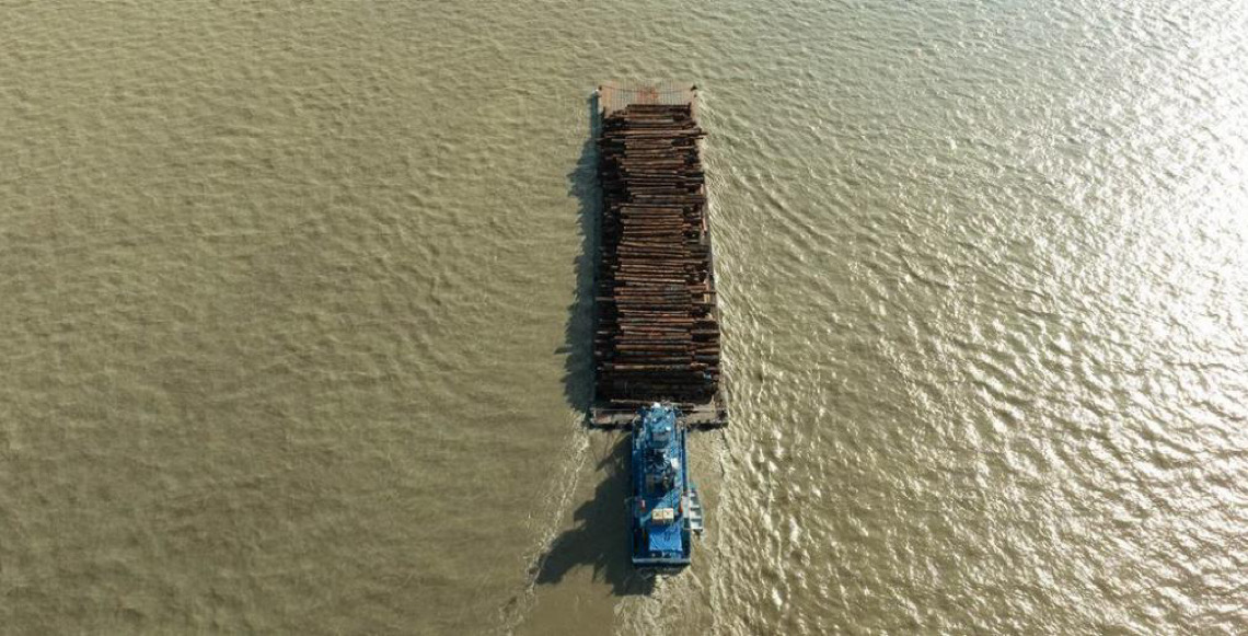 Instituição brasileira que protege a Amazônia está entre os “Campeões da Terra”