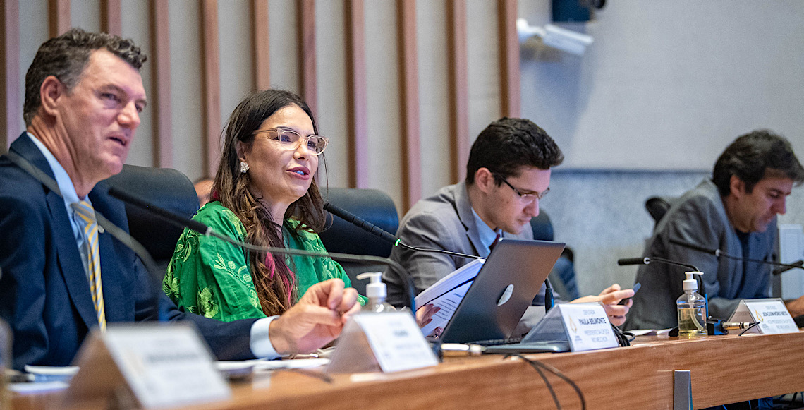 Relatório final da CPI apresenta plano para revitalizar o Rio Melchior