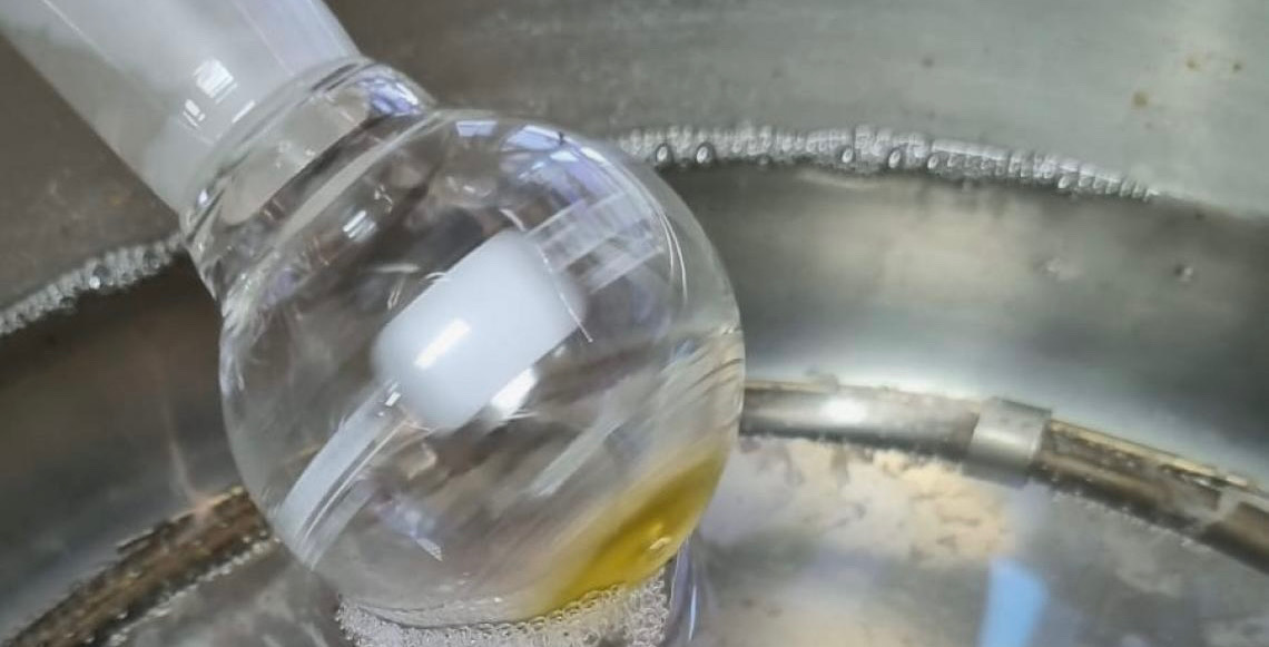 FAPDF investiga moléculas da vespa como alternativa para o autismo