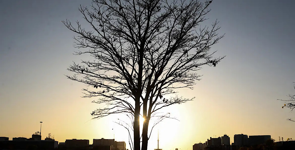 Duas pesquisadoras da Uerj participam do seleto grupo do IPCC da ONU 