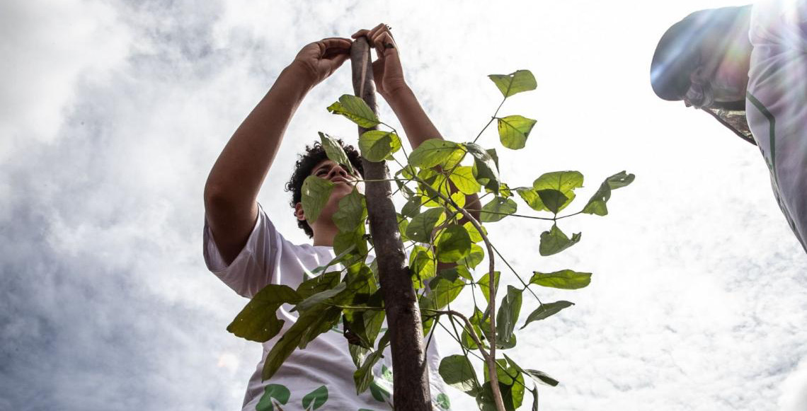 Secretaria coloca o DF como referência em proteção ao bioma Cerrado
