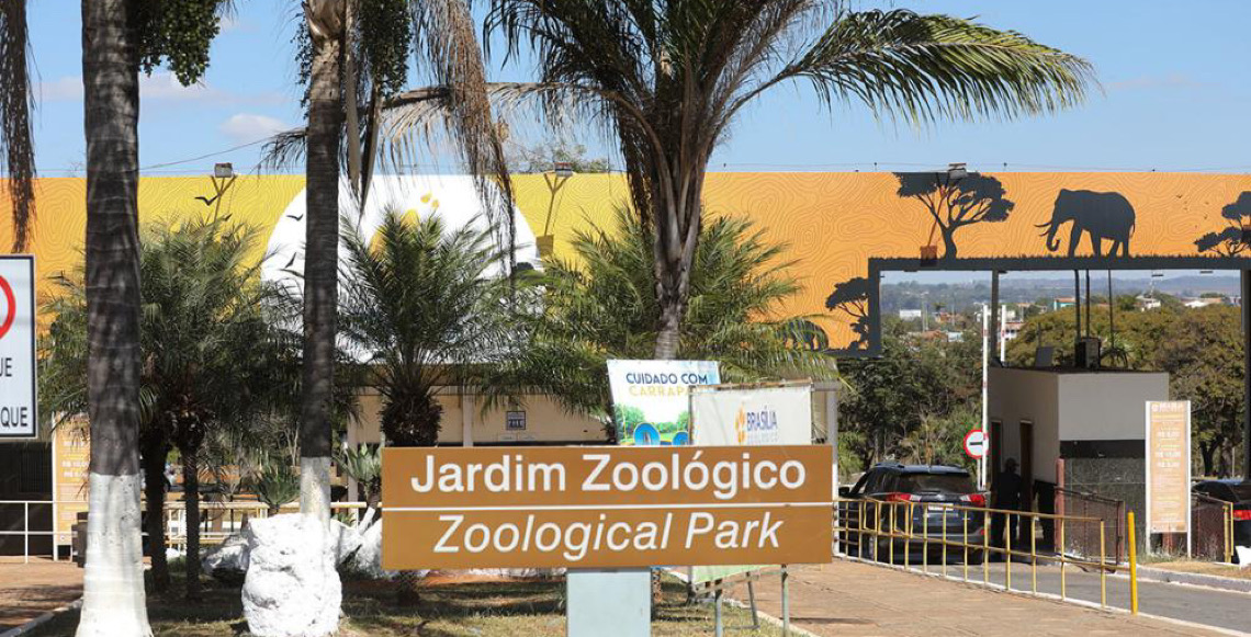 Saiba o que abre e o que fecha no Distrito Federal nos dias 31, 1º e 2