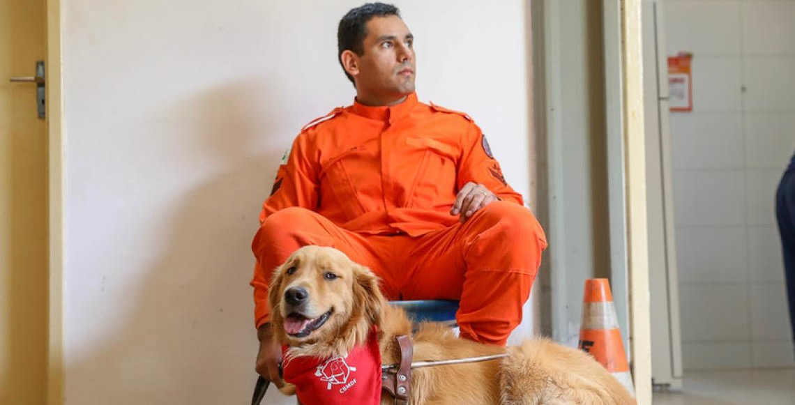 Corpo de Bombeiros do DF amplia proteção à sociedade em 2025