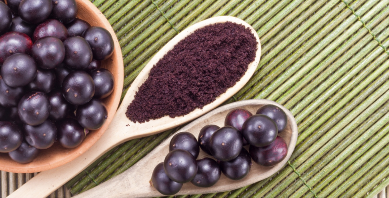 Típicas da amazônia, culturas do açaí e do cacau se adaptam ao interior paulista