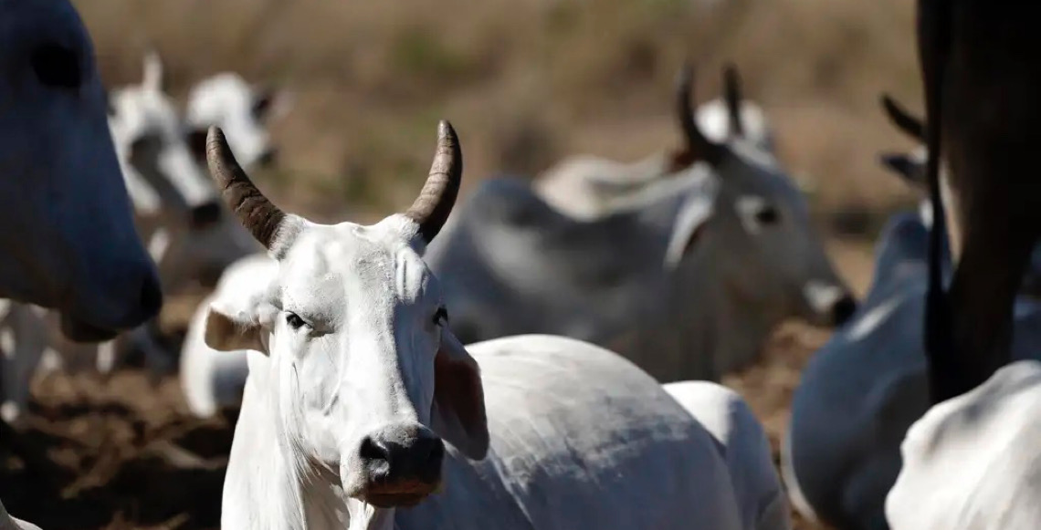 O agro que sonhava ser pop agora quer virar lição de casa