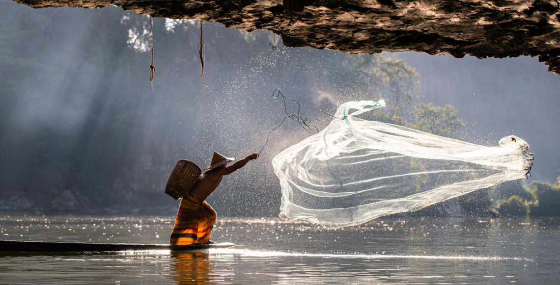 Países aceleram planos nacionais para travar perda de biodiversidade até 2030