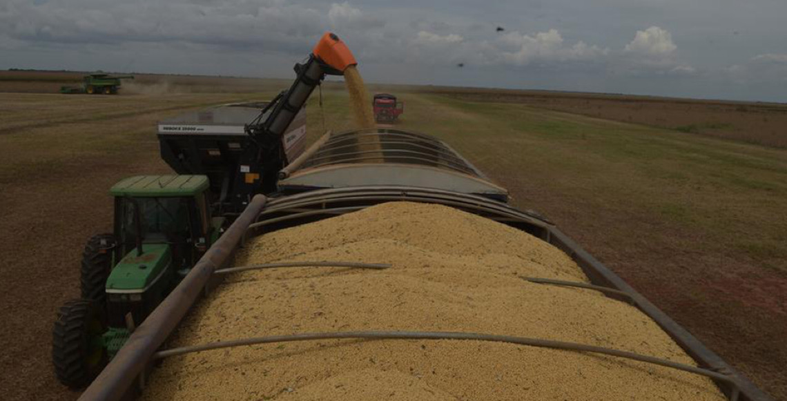Exportações brasileiras de soja aumentam 11,75% e batem recorde em 2025
