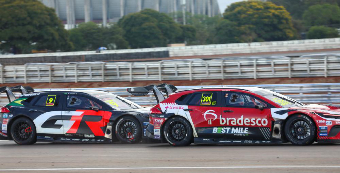 Bichinhos & Bichões