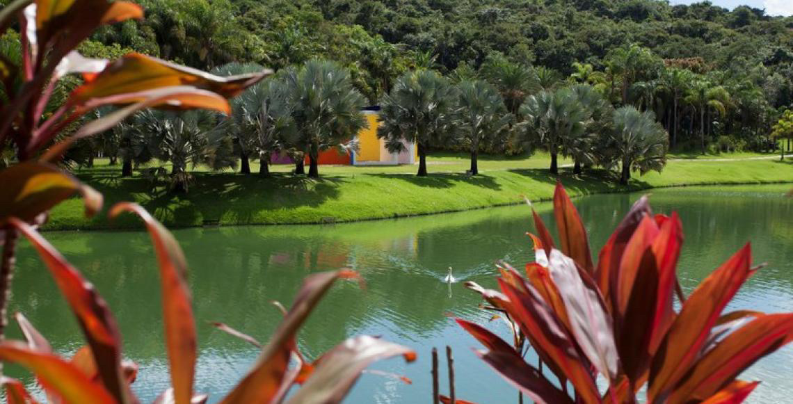 Inhotim aparece no The New York Times como um dos melhores destinos do mundo para conhecer