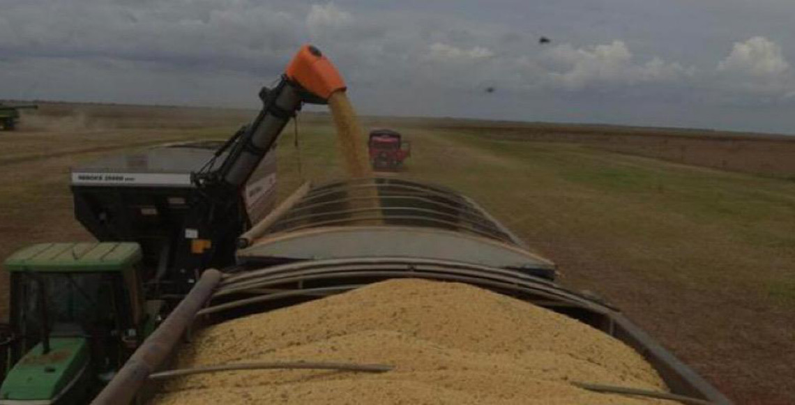 Exportações brasileiras de soja aumentam 11,75% e batem recorde