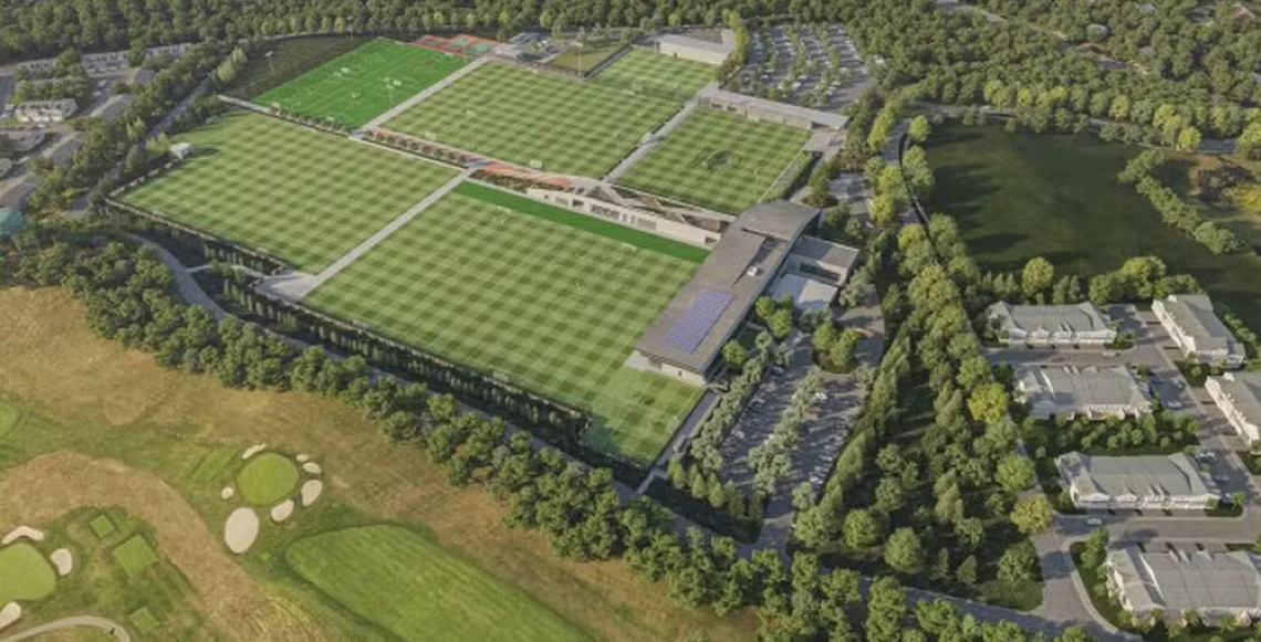 Bichinhos & Bichões