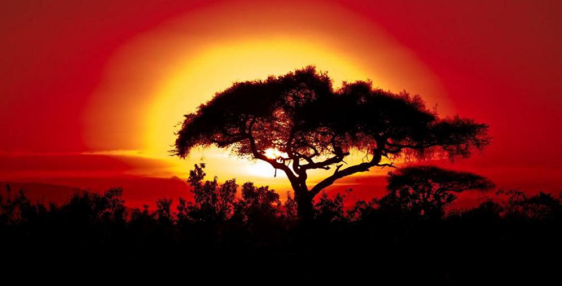 Organização Meteorológica confirma 2025 como um dos anos mais quentes já registrados