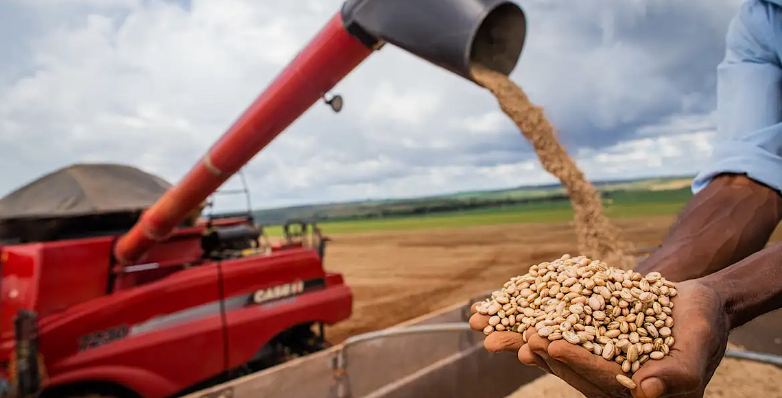 Safra de grãos mais que dobra em 13 anos no Brasil, diz IBGE