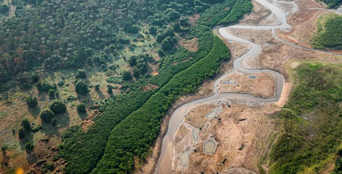 Segundo o BNDES, dezesseis projetos concorrem em edital para restauração da Amazônia