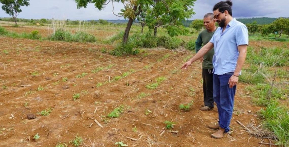 Assistência técnica no DF ajuda a aumentar o número de produtores que têm certificação orgânica