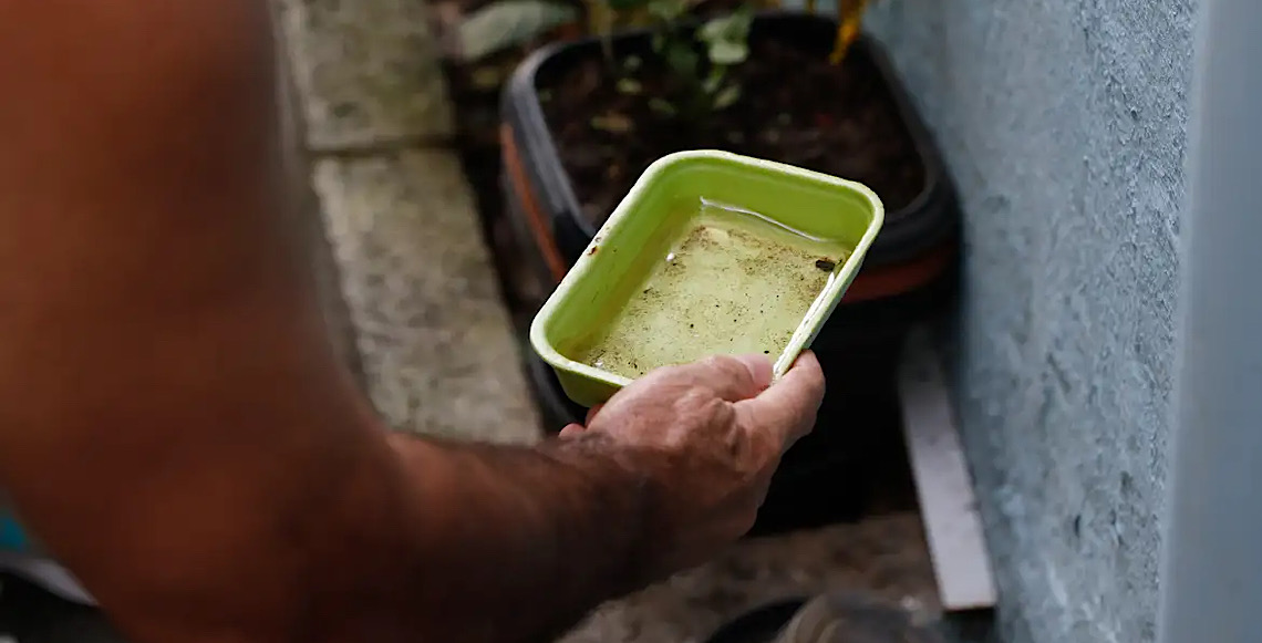 Preços de repelentes podem variar até 110%, diz um levantamento realizado pelo Procon
