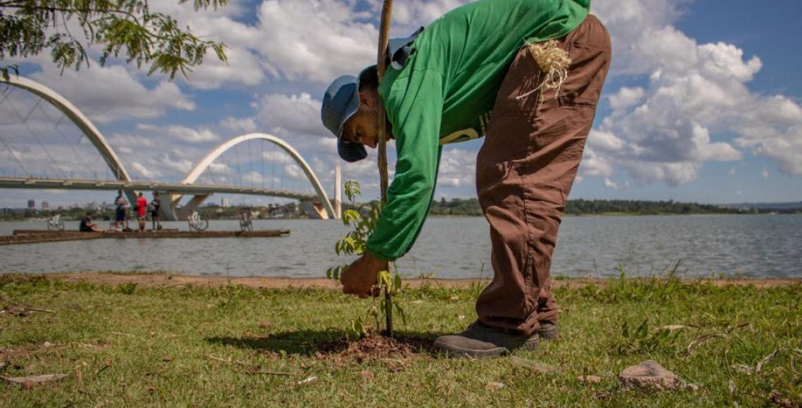 Propostas para o programa Recupera Cerrado II devem ser enviadas até o dia 30