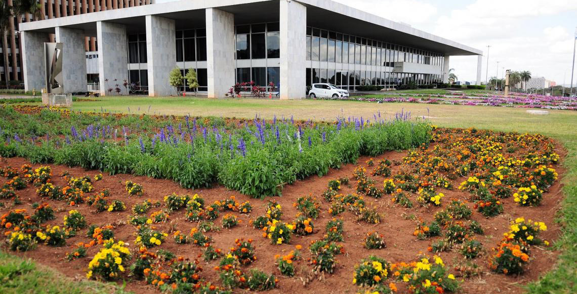 Casa Civil do DF divulga manual sobre condutas proibidas de agentes públicos durante o período eleitoral