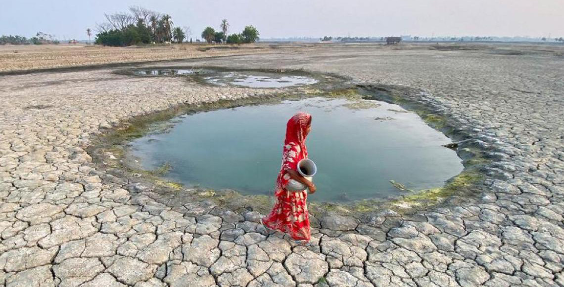 ONU: 2026 terá desequilíbrio crítico em fluxos financeiros para a natureza