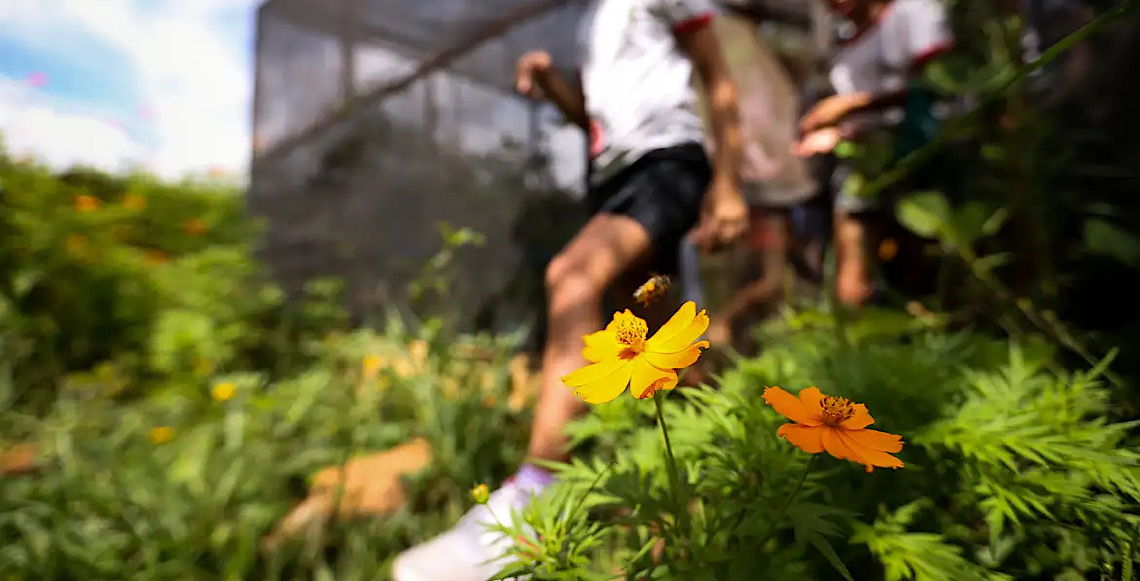 Dia da Educação Ambiental destaca iniciativas de conscientização 