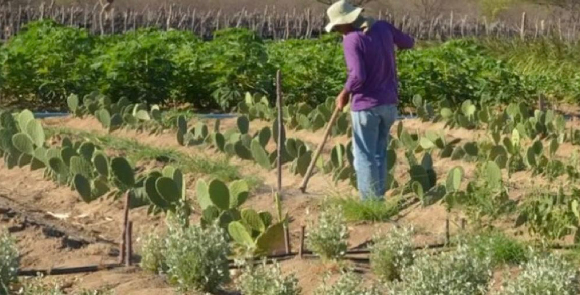 Reforma agrária: Lula assina decretos que ampliam acesso à terra em cinco estados