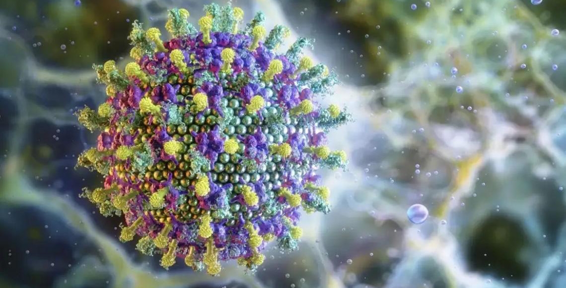 Nipah: Saiba mais sobre um novo surto do vírus que preocupa autoridades da Ásia