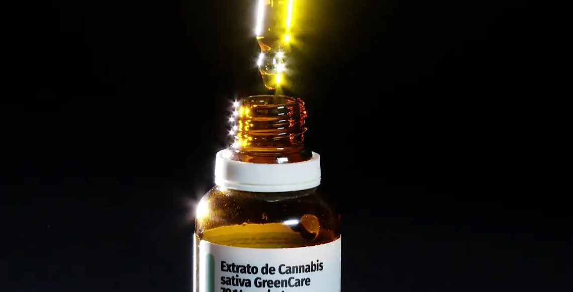 Agência Nacional de Vigilância Sanitária aprova cultivo de cannabis por empresas e amplia acesso 