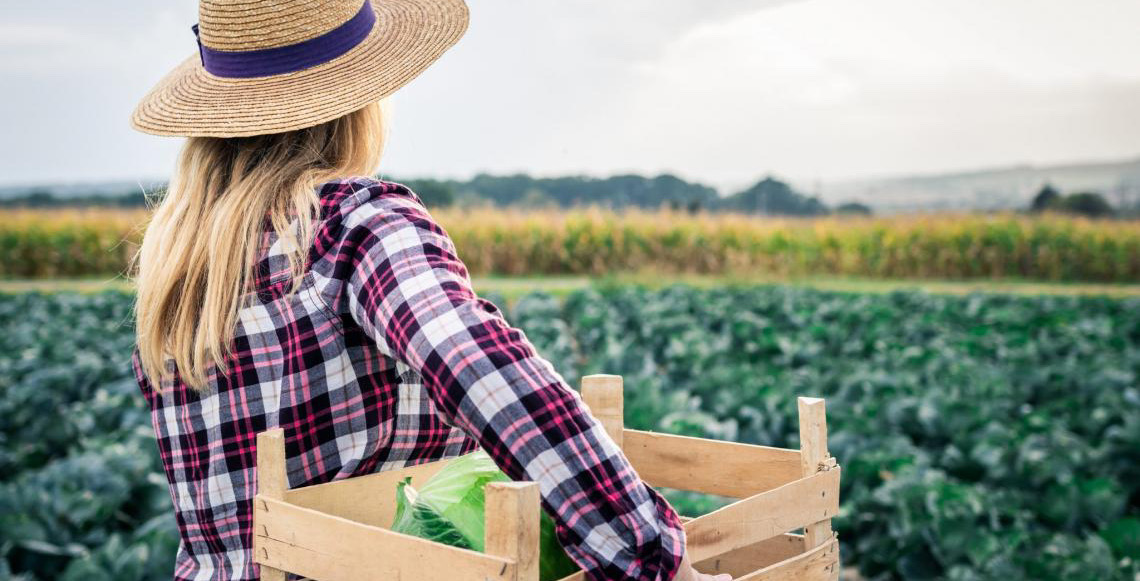 Projeto Mulheres no Campo abre 100 vagas de qualificação profissional em Brazlândia, no DF